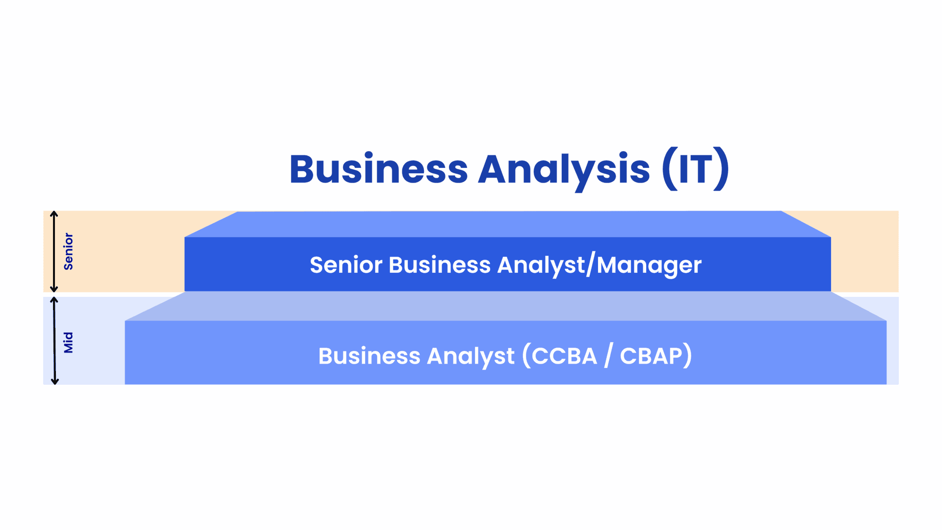 Business Analysis (IT) career pathway